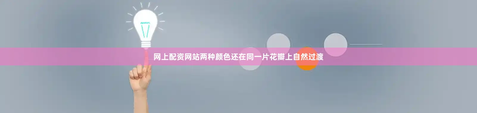 网上配资网站两种颜色还在同一片花瓣上自然过渡